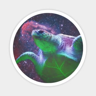 a turtle in the sky painting Magnet